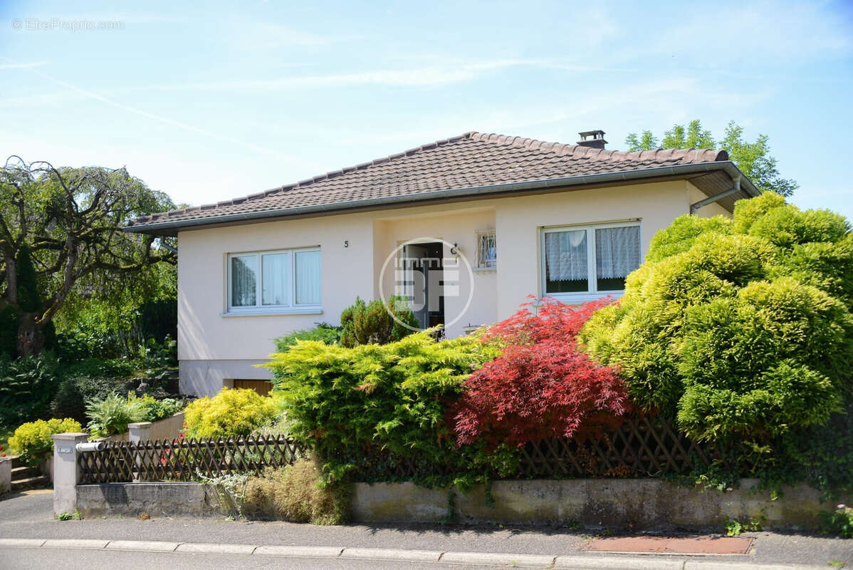 Maison 101 m² à Hegenheim  - photo 2