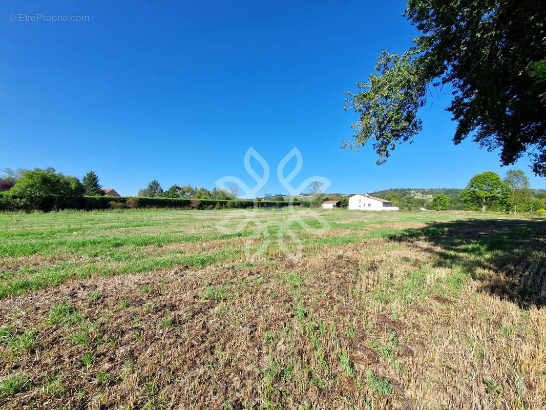 Terrain à LA CHOMETTE