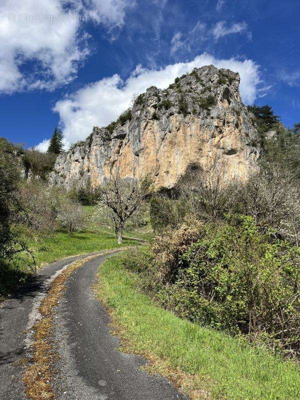 Commerce à SAINT-SULPICE