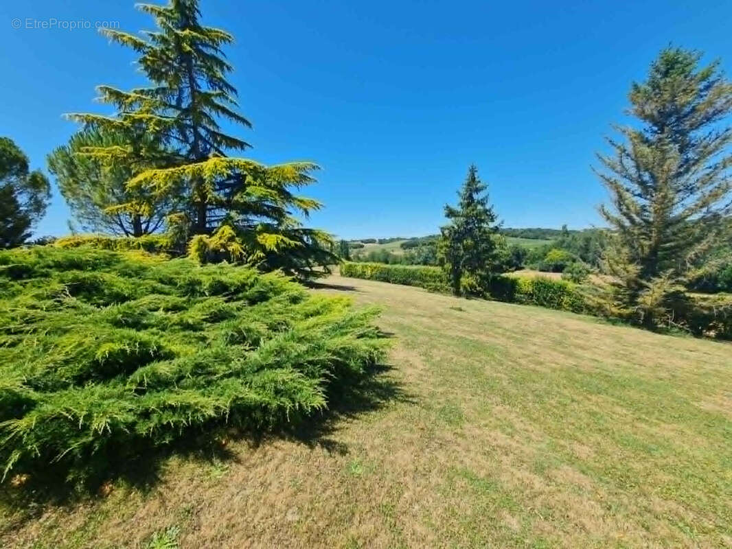 Belle propriété - photo 4