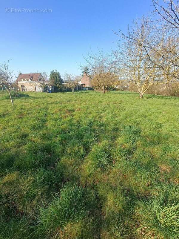 Photo 3 - Terrain à LES DAMPS
