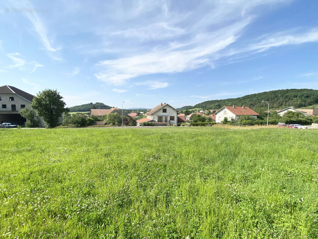 Terrain à FOUCHERANS