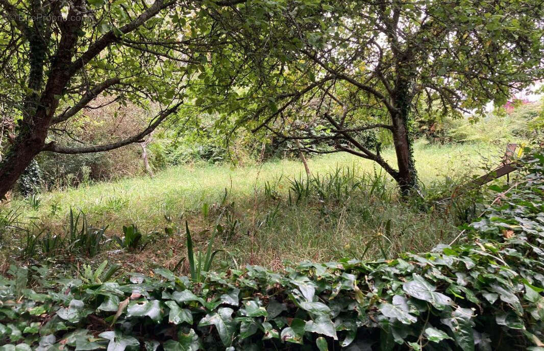 Maison à CLEDEN-CAP-SIZUN