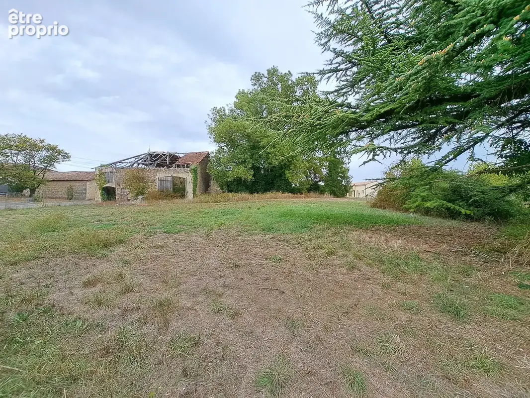Terrain 5 642 m² à vendre à Saint-Maigrin (17520) - photo 3
