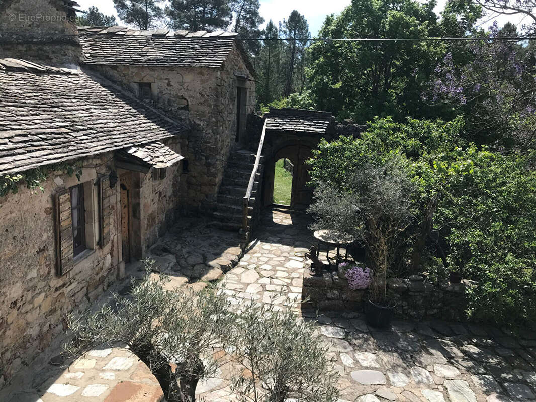En plein coeur des cévennes authentique mas du XIIème siècle sur 7 hectares de terre - photo 11
