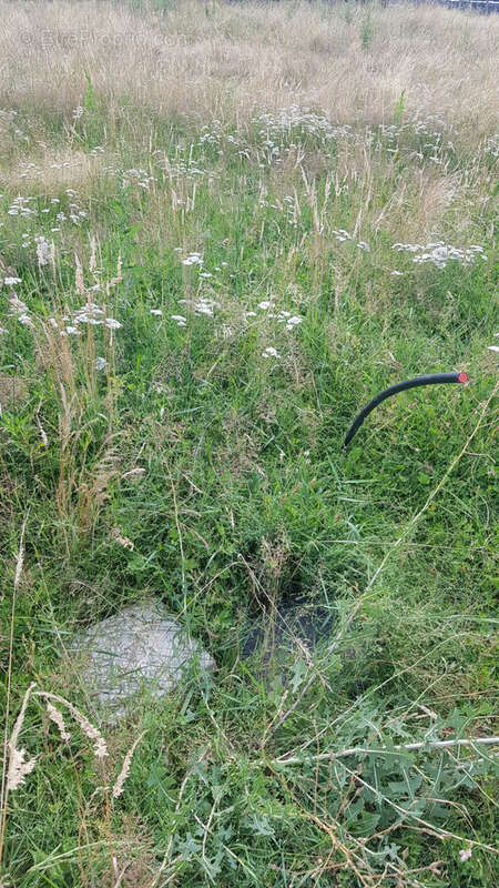 Terrain à L&#039;ABERGEMENT-SAINTE-COLOMBE