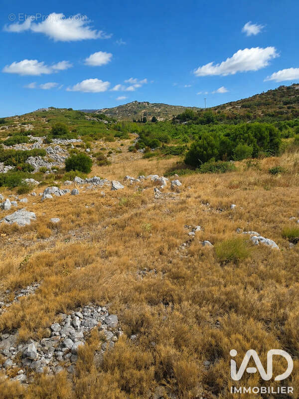 Terrain 9885 m² à Opoul-Perillos  - photo 3