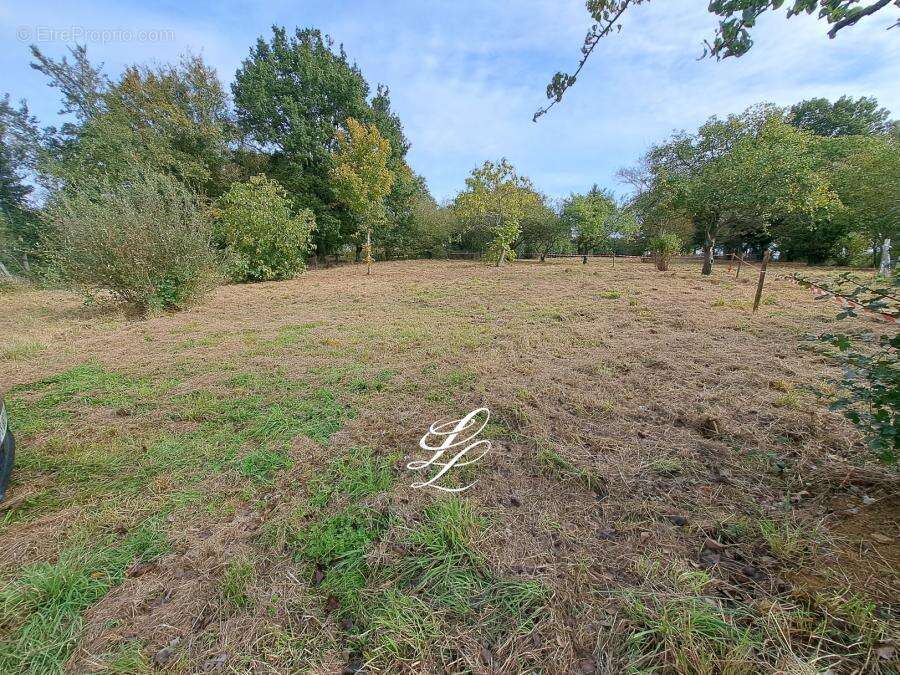 Terrain 874 m² à La Guierche  - photo 559