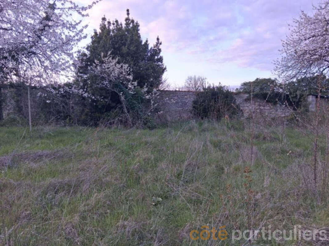 Maison à CHATEAUNEUF-SUR-CHER