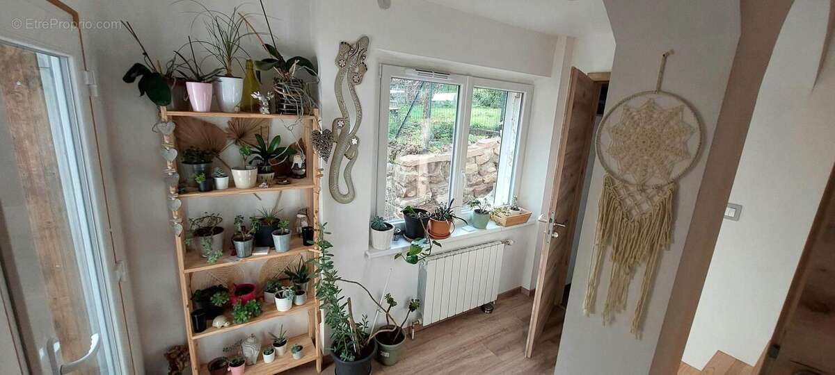 Photo 5 - Maison à GRENDELBRUCH