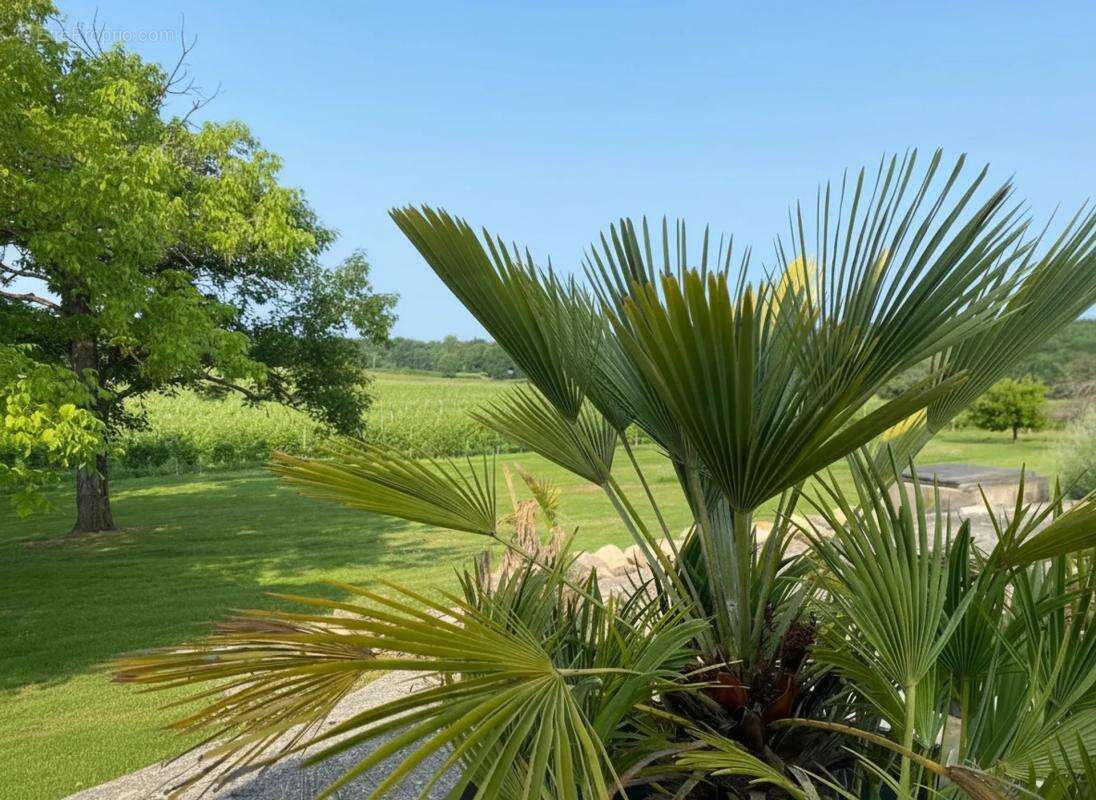 Maison à SAUVETERRE-DE-GUYENNE