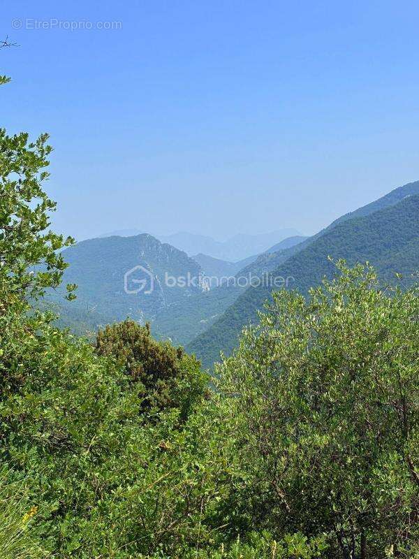 Terrain à PIERREFEU