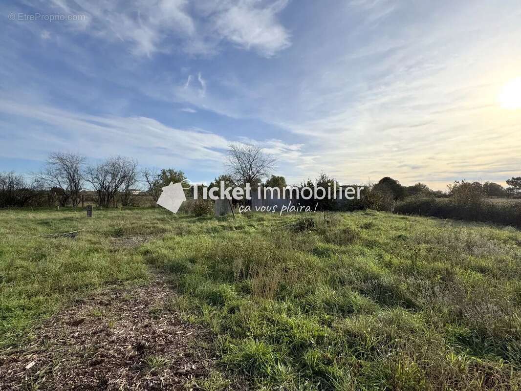 Terrain à MONDONVILLE