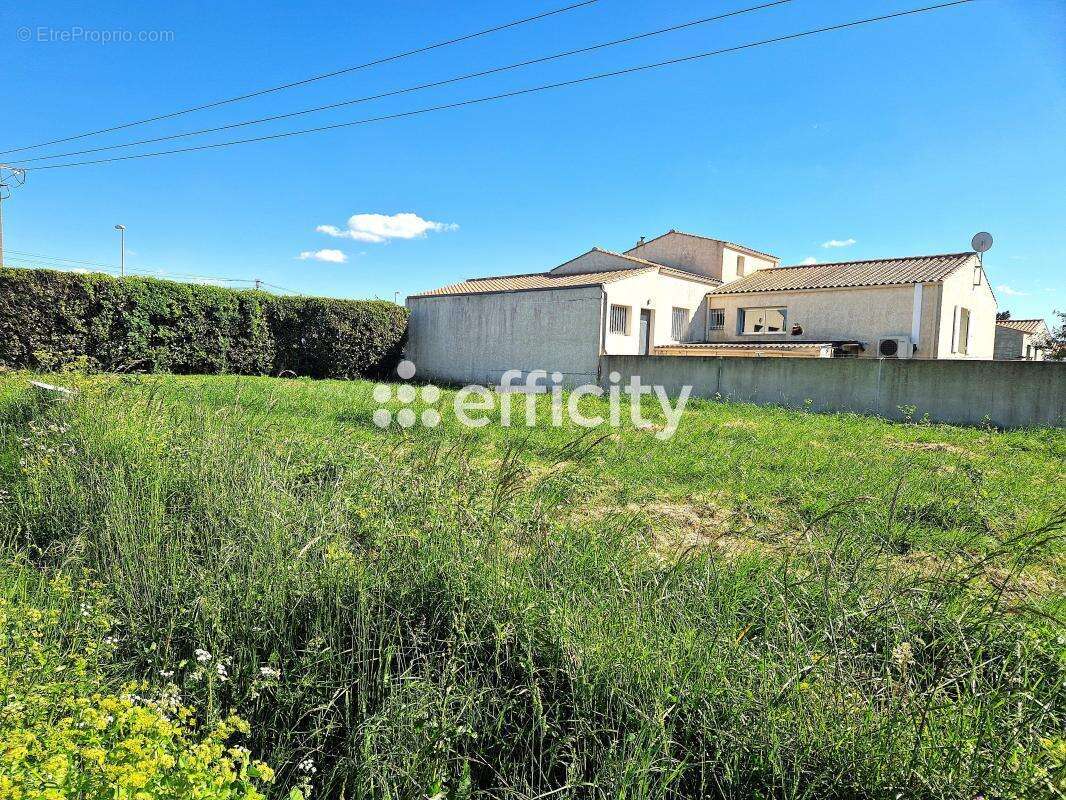 Terrain 400 m² à vendre à Saint-Pierre-D'oleron (17310) - photo 3