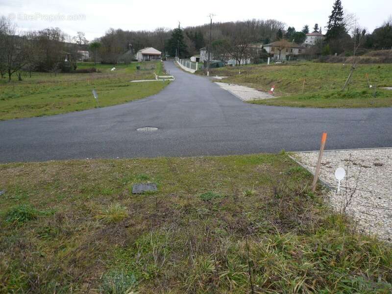 Terrain à SAINT-LAURENT-DE-COGNAC