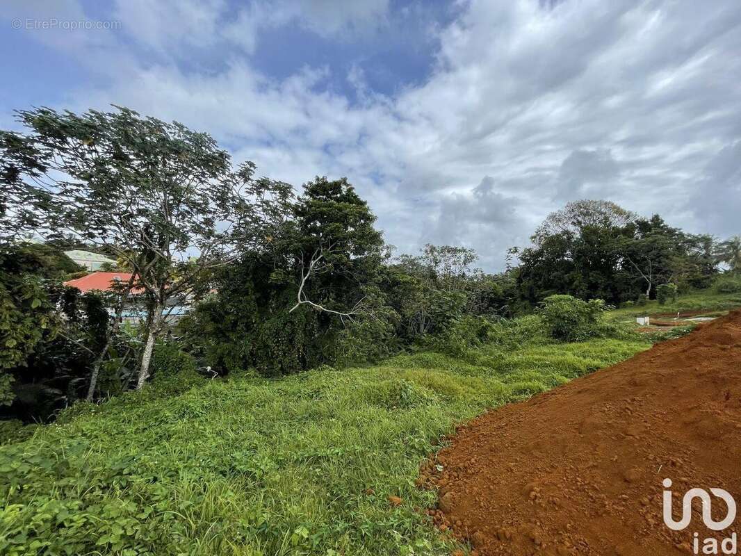 Photo 6 - Maison à PETIT-BOURG