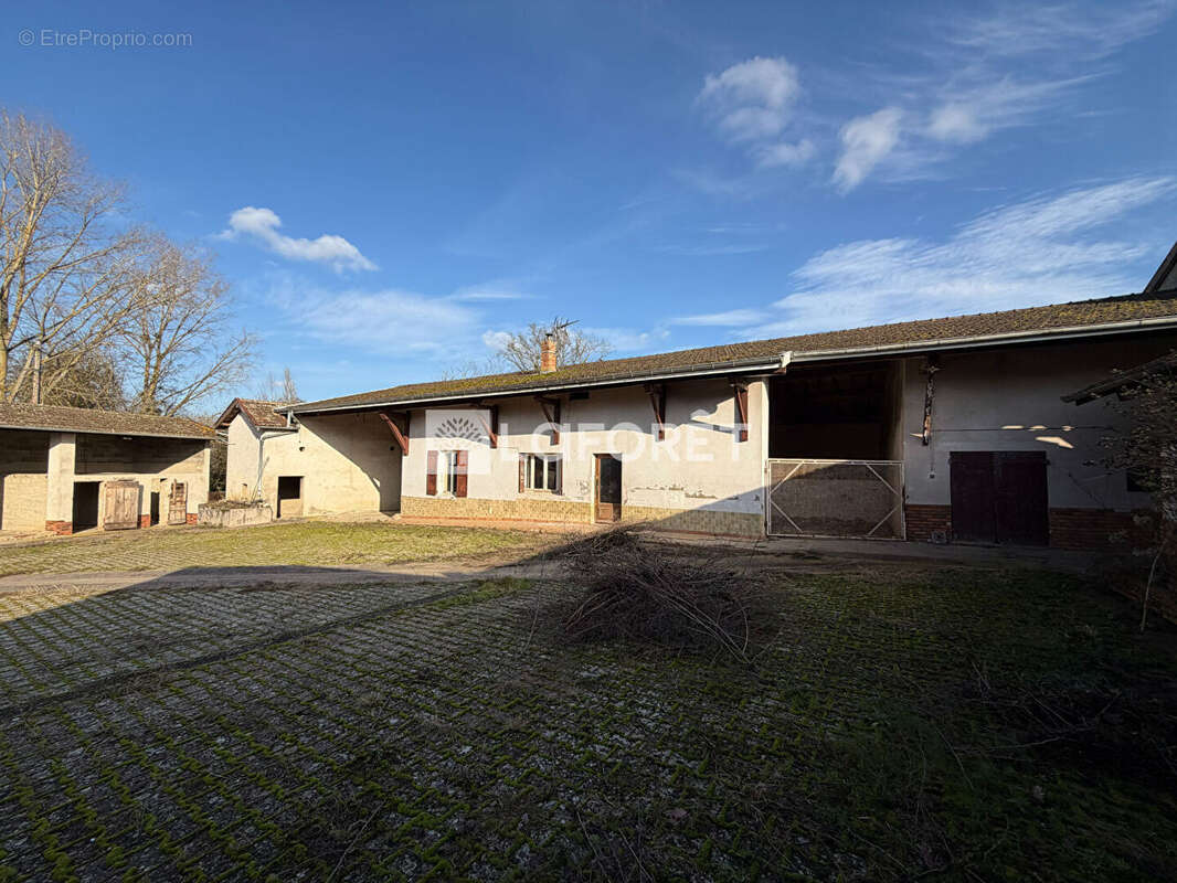 Maison à SAINT-ETIENNE-SUR-CHALARONNE