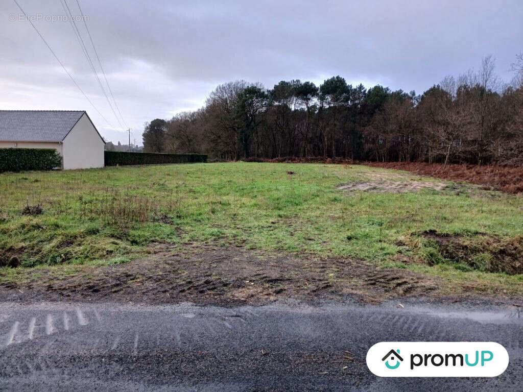 Terrain à SAINT-PHILBERT-DU-PEUPLE