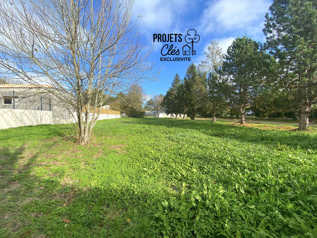 Terrain constructible de 348m2 centre-ville - photo 2