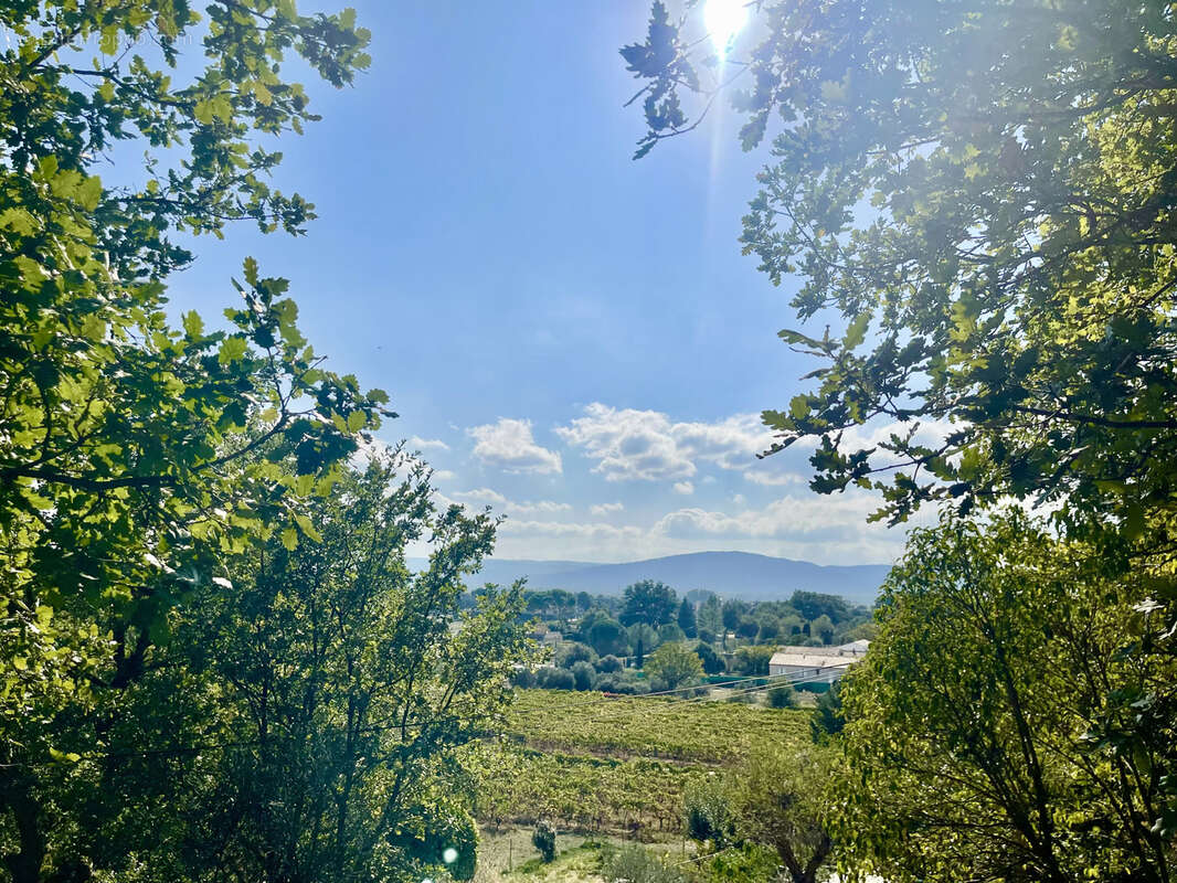 Commerce à VILLELAURE