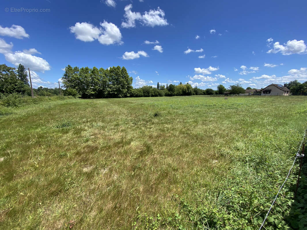 Terrain à NARCASTET