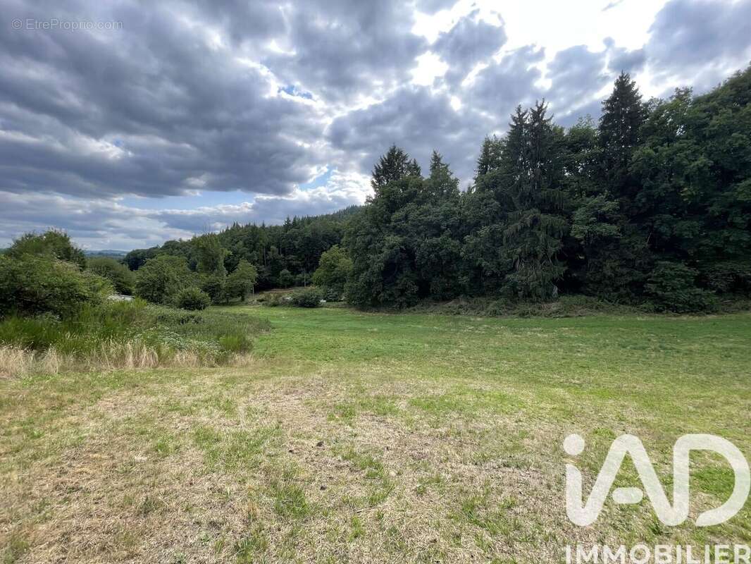 Photo 5 - Maison à NEDDE