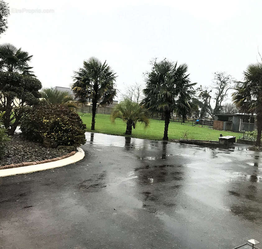 Maison à CHATEAUBRIANT