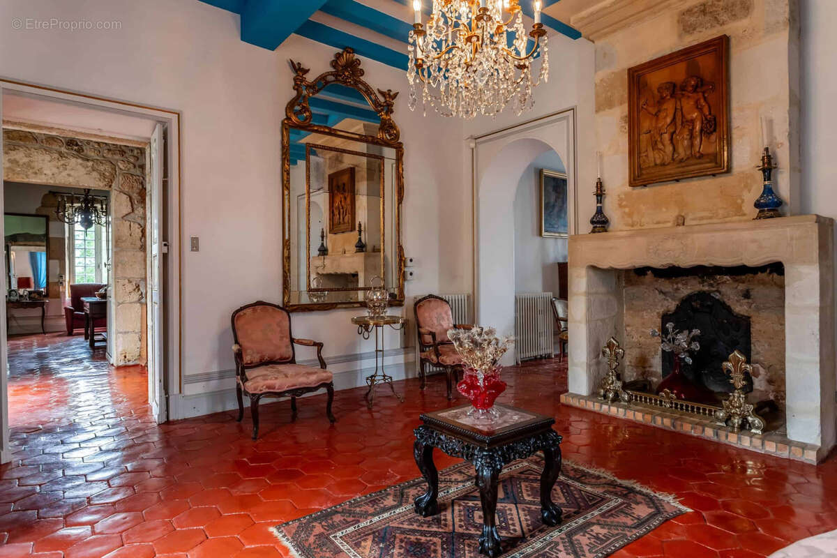 Chateau estate - photo 23