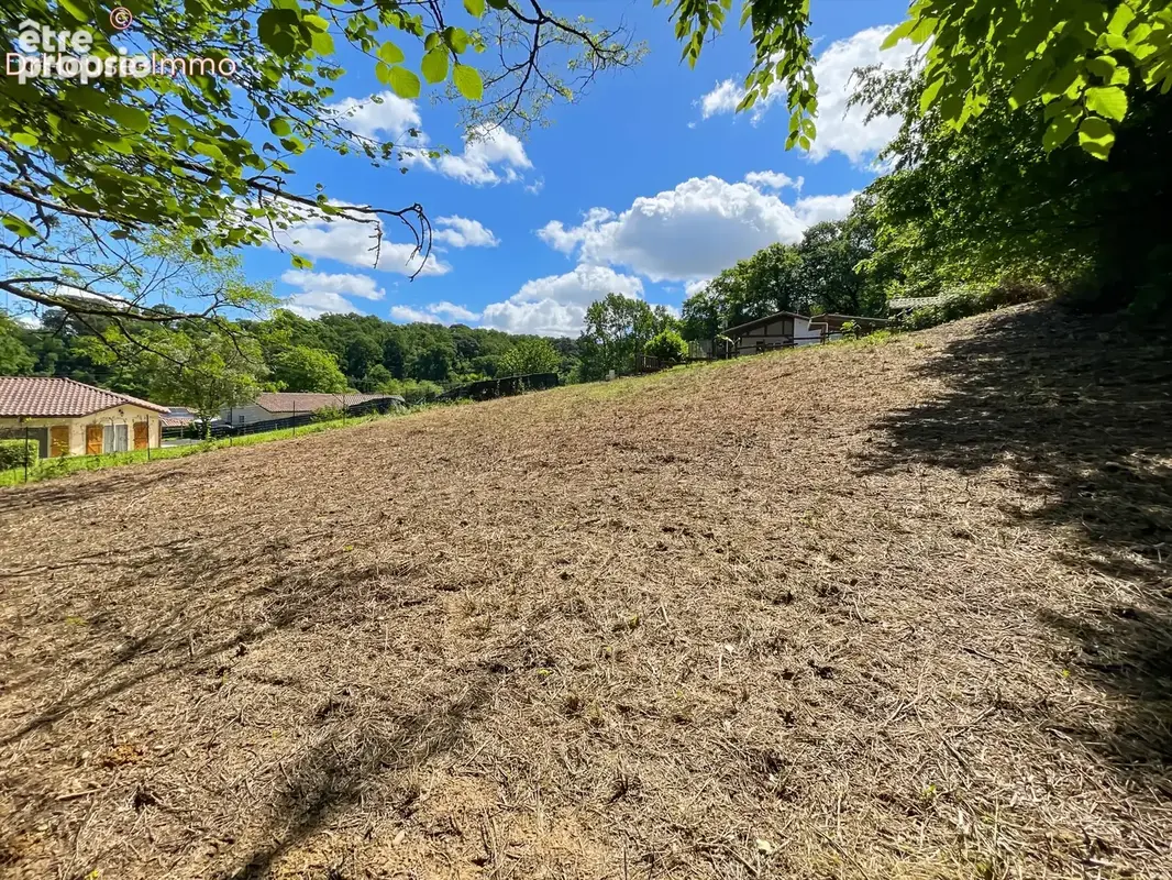 Terrain 1 108 m² à vendre à Mont-De-Marsan (40000) - photo 22