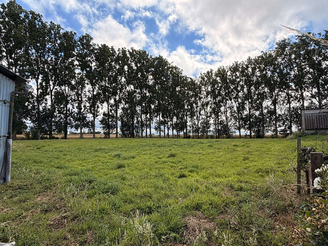 Maison à la campagne, au calme, à 11 min de lamballe ! - photo 3