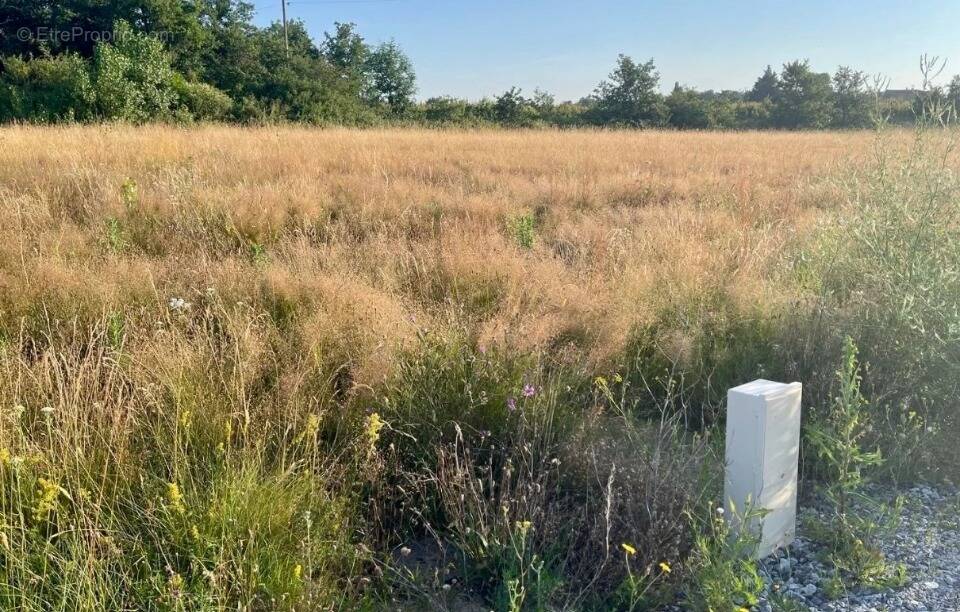 Terrain à ETABLES