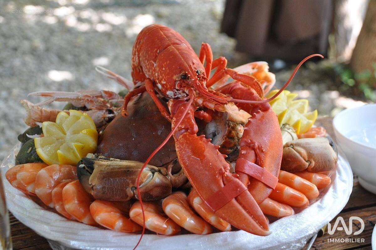 Photo 1 - Commerce à SAINT-PIERRE-D'OLERON