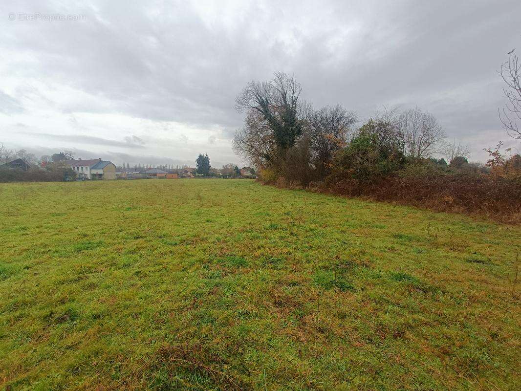 Terrain à BORDERES-SUR-L'ECHEZ