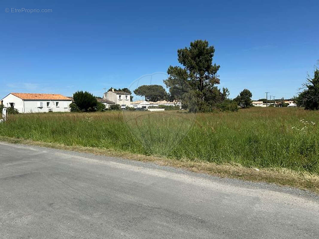 Terrain à SAINT-AUGUSTIN