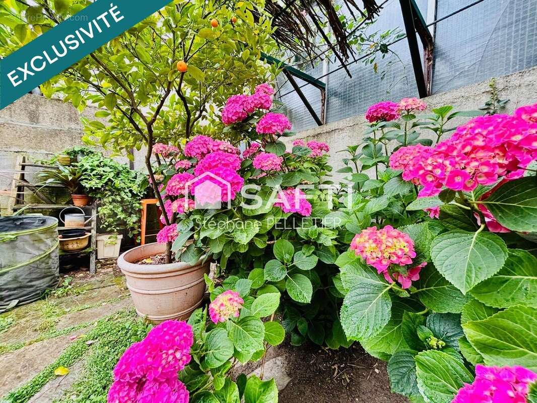 Photo 7 - Maison à TOURS