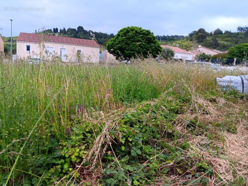 Terrain 393 m² à Limoux  - photo 2
