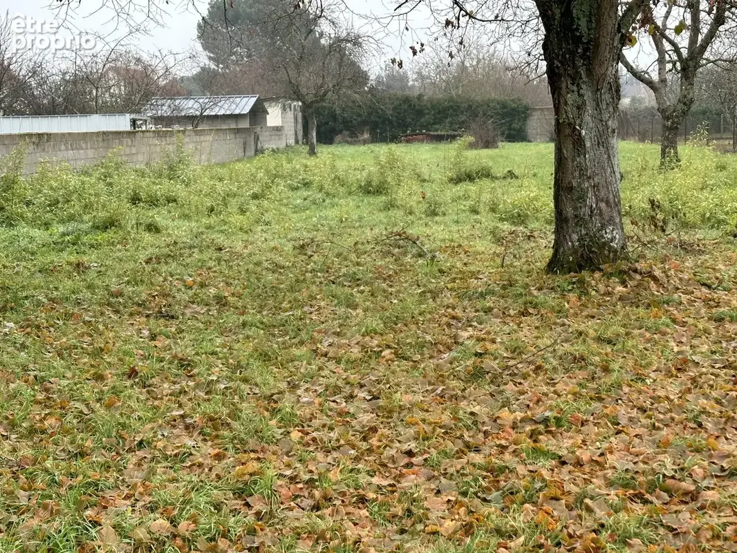 Terrain à BRIARE