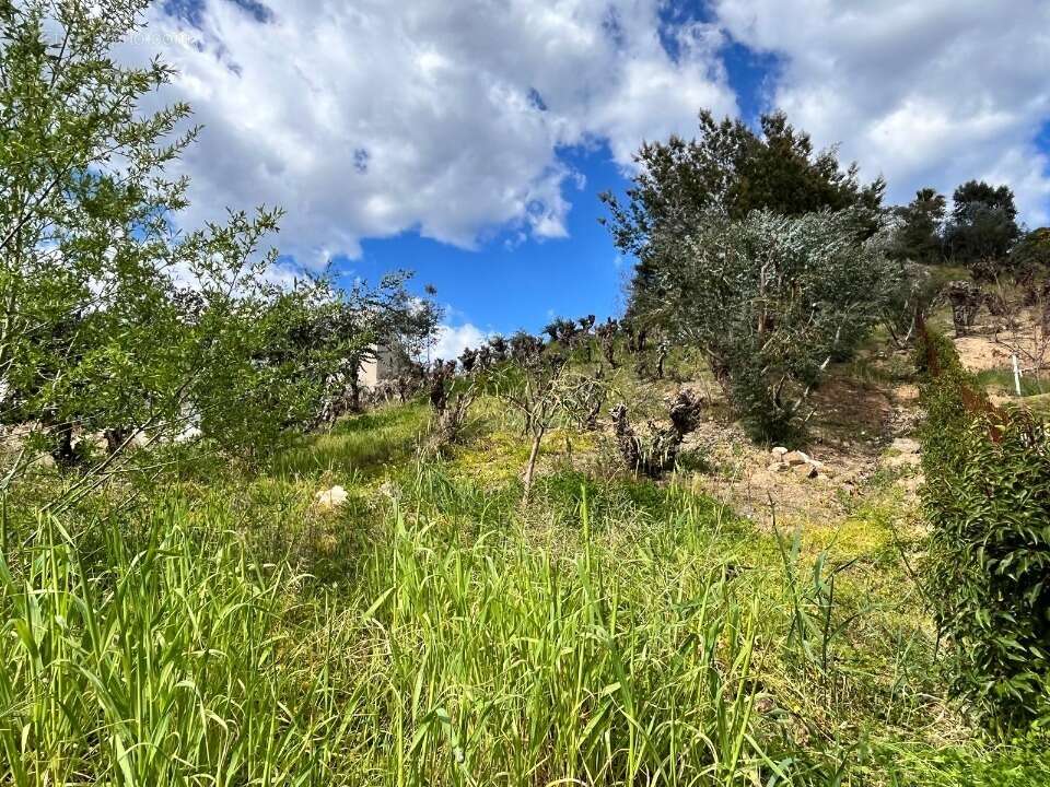 Terrain à LA ROQUETTE-SUR-SIAGNE