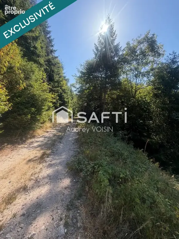 Photo 1 - Terrain à LE MENIL