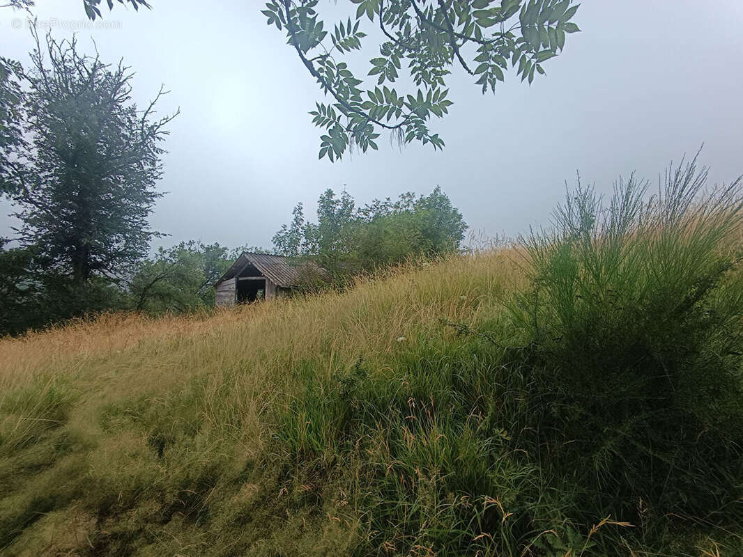 Corps de ferme - photo 11