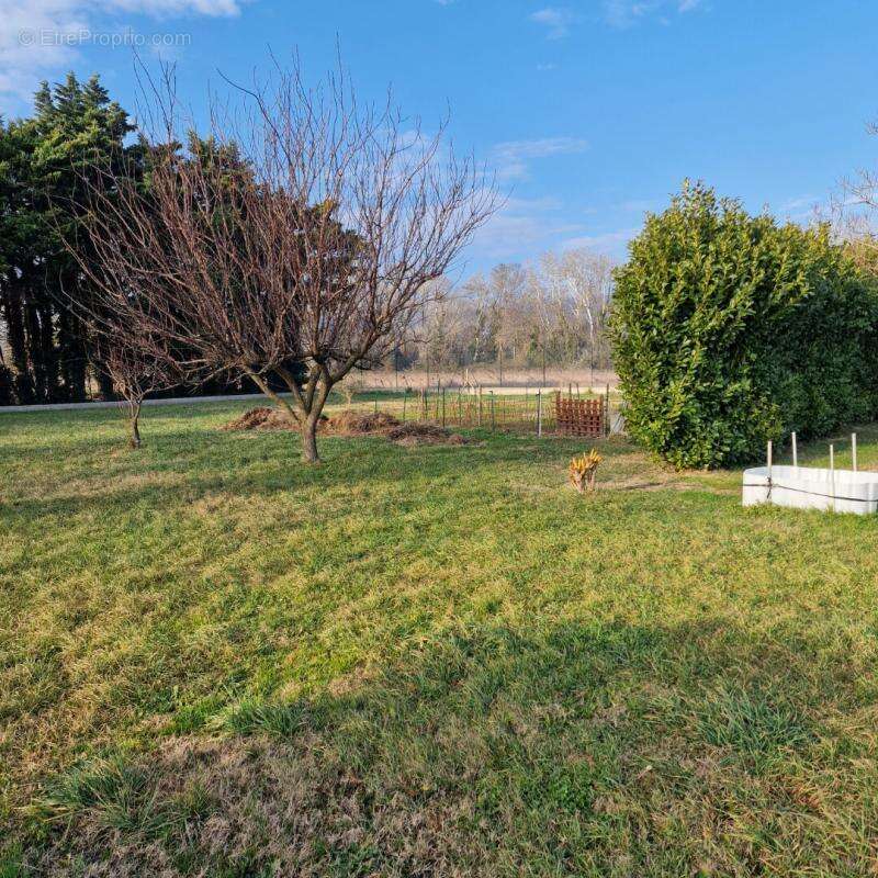 Maison à MONTELIMAR