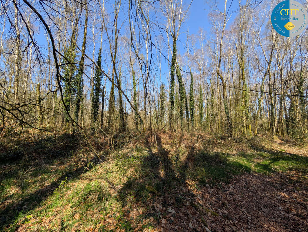Terrain à CAMPENEAC
