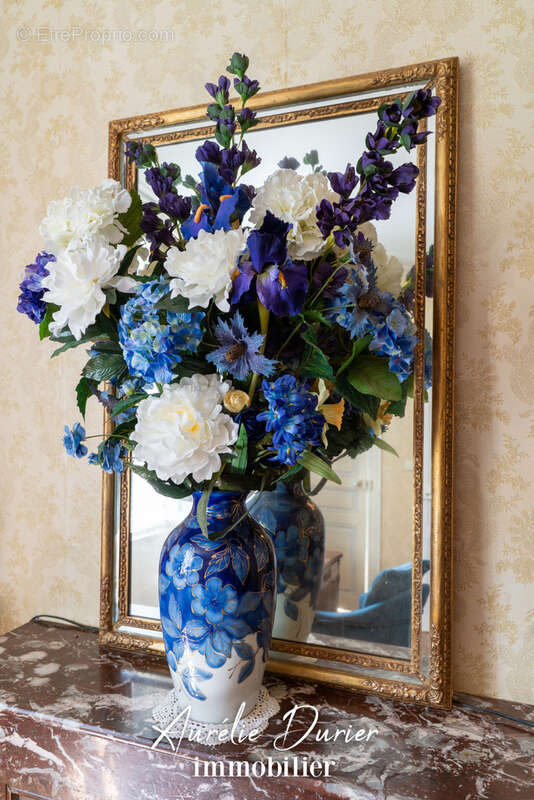 Maison à MONTRICHARD