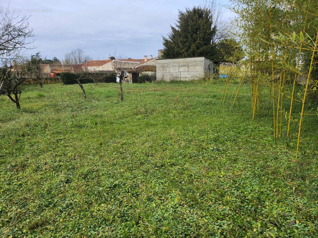 Terrain constructible non viabilisé - photo 3