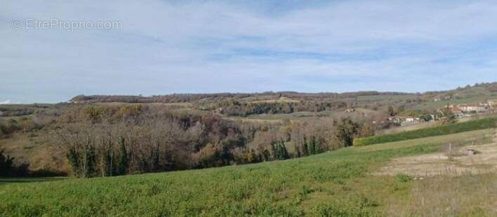 Terrain à MONTCHENU