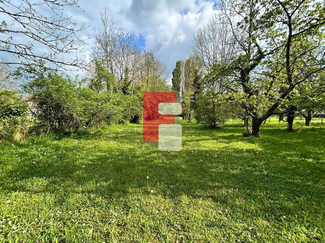 Terrain à SAINT-PHAL