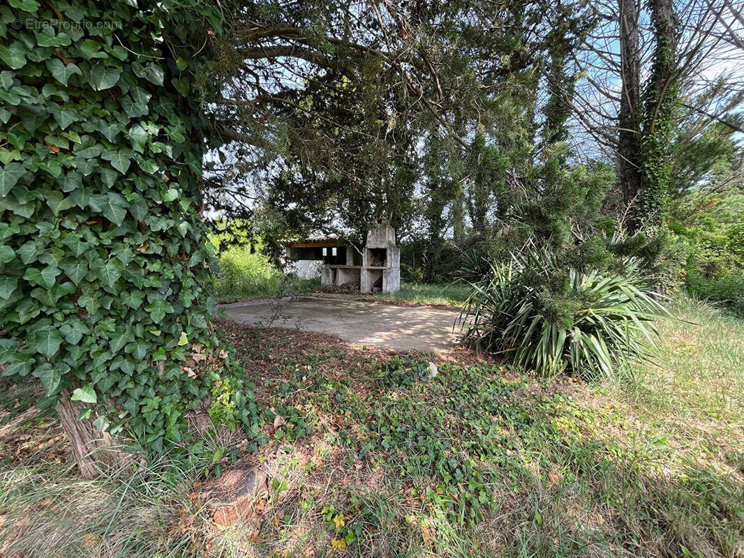 À vendre Authentique Mas - 5 chambres avec piscine, parc arboré et 4 garages - Proche Calvisson - photo 17