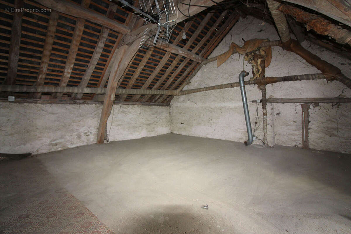 Maison ancienne à vendre à Mozé-sur-Louet avec jardin et dépendance - photo 5