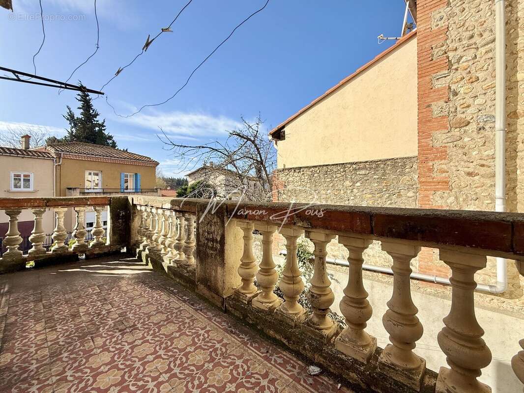 Maison 250 m² à Villeneuve-La-Riviere  - photo 18