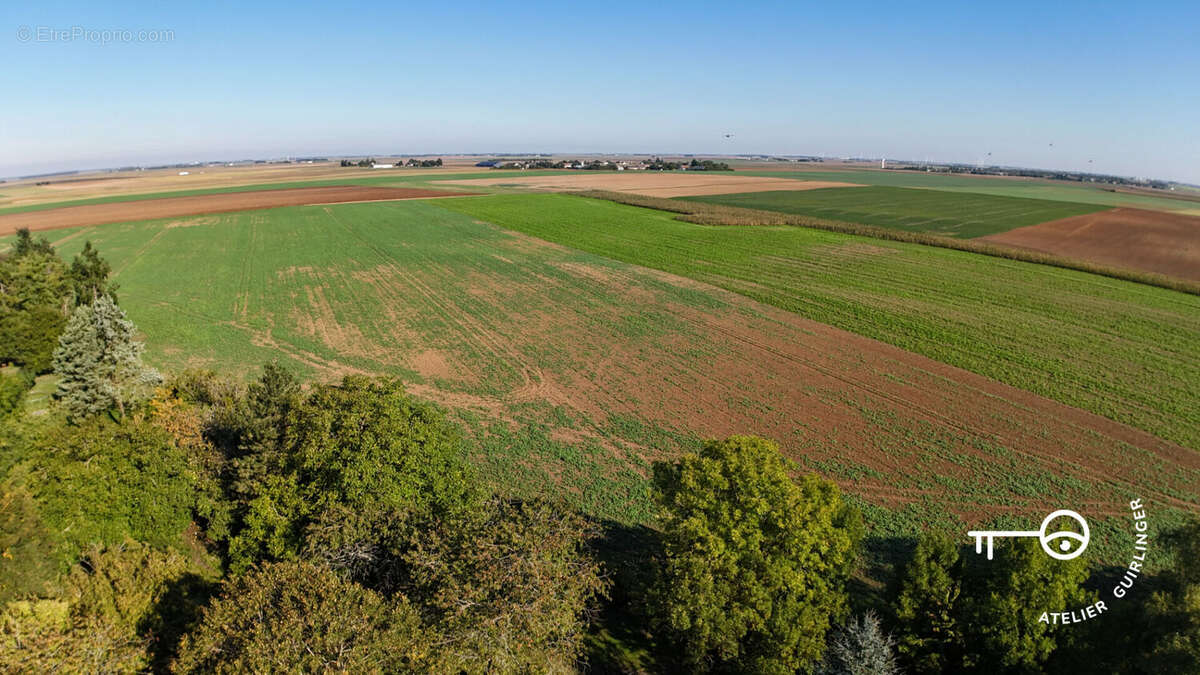Terrain à OUZOUER-LE-MARCHE